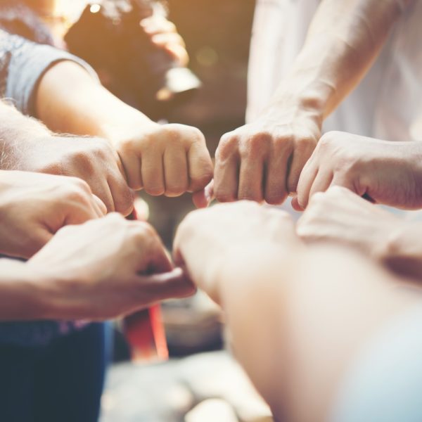 What is the Cooperative Model?