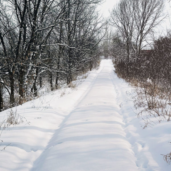 Investment and Participation: The Co-op Difference // December 2025 CEO Column