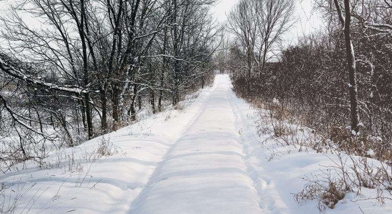 Investment and Participation: The Co-op Difference // December 2025 CEO Column