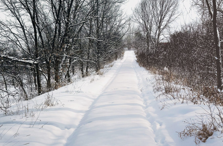 Investment and Participation: The Co-op Difference // December 2025 CEO Column