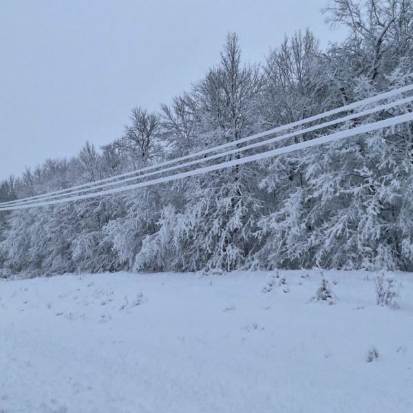 Cooperation Among Cooperatives: LREC Sends Crews in Advance of VA Ice Storm