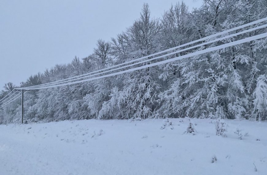 Cooperation Among Cooperatives: LREC Sends Crews in Advance of VA Ice Storm