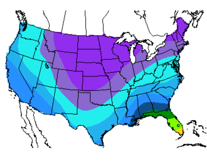 Managing Peak Pricing During Severe Weather Events
