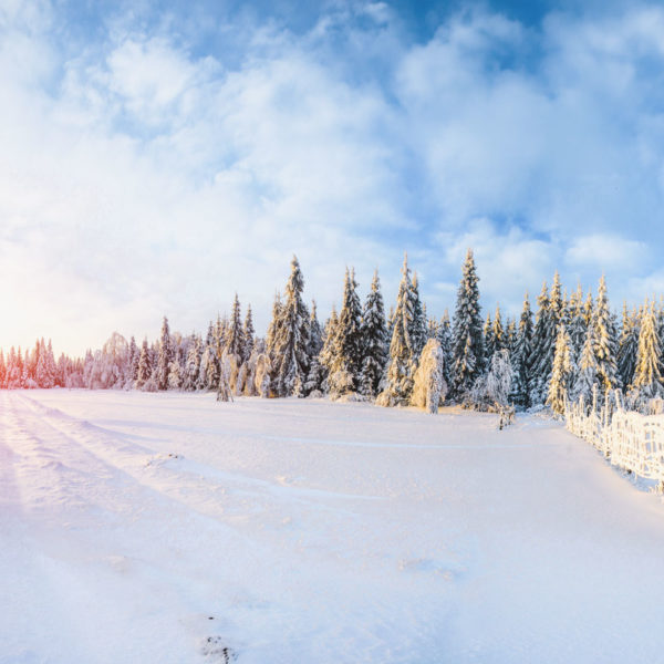 Upcoming Rate Adjustment // February 2026 CEO Column