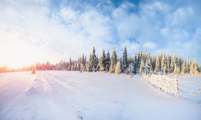 Upcoming Rate Adjustment // February 2026 CEO Column