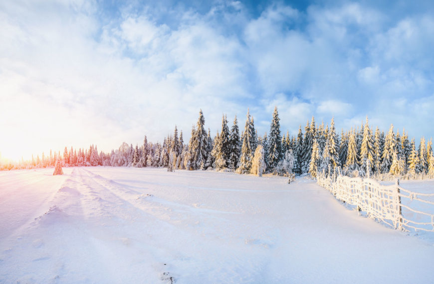 Upcoming Rate Adjustment // February 2026 CEO Column